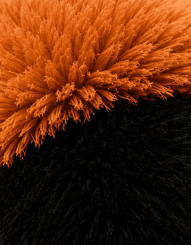 Ultra-soft plush fabric